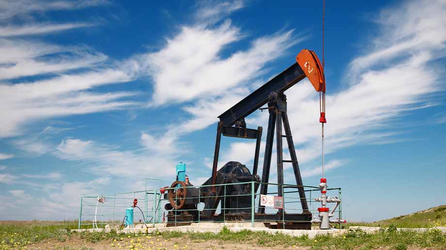 Oil pump in a meadow