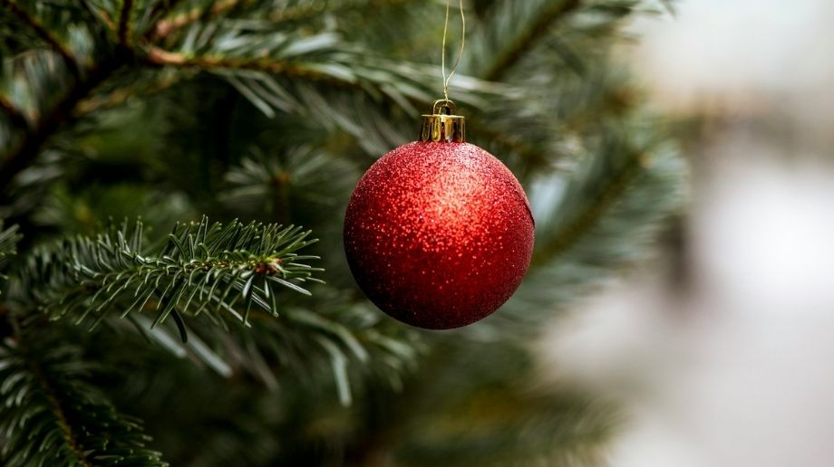 Red ornament hanging from fir tree