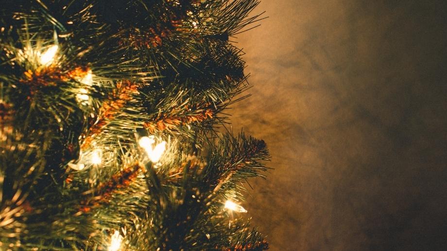 Close up of Christmas tree with white lights