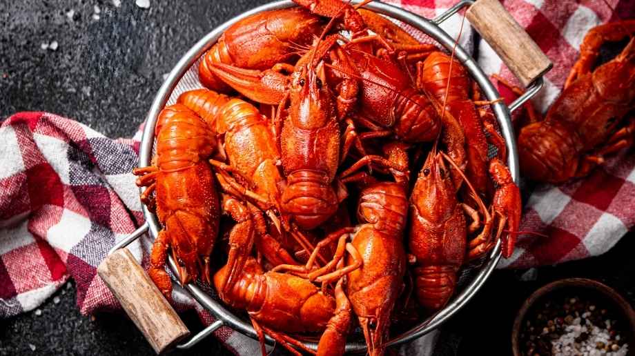 Cooked red crawfish in a bucket on a black table next to a red gingham table runner