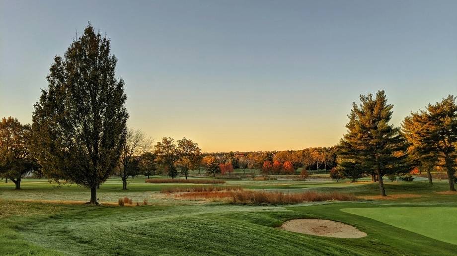 Trees surrounding a sandtrap on a golf course at sunset