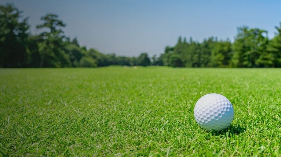 Golf ball on grass