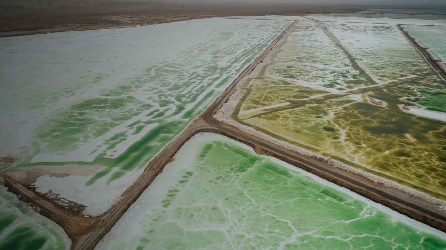 Aerial view of green and brown salt pans