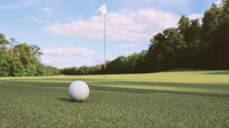 Golf ball on grass