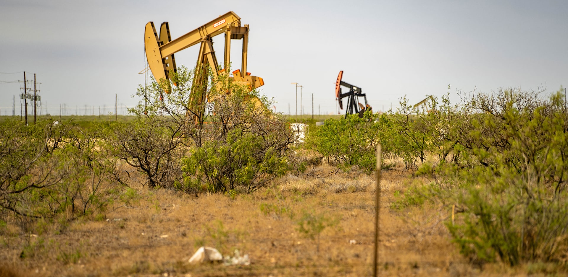 Oil pumps in a field