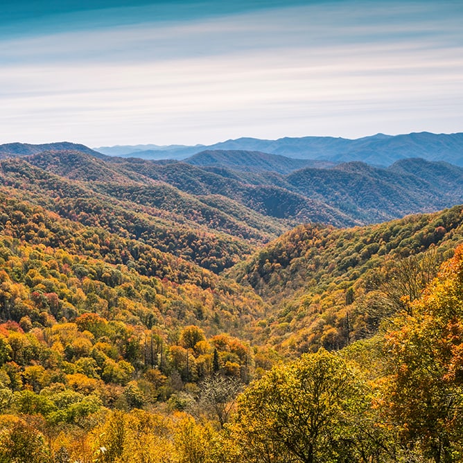 Tree-covered mountains in the Appalachia region